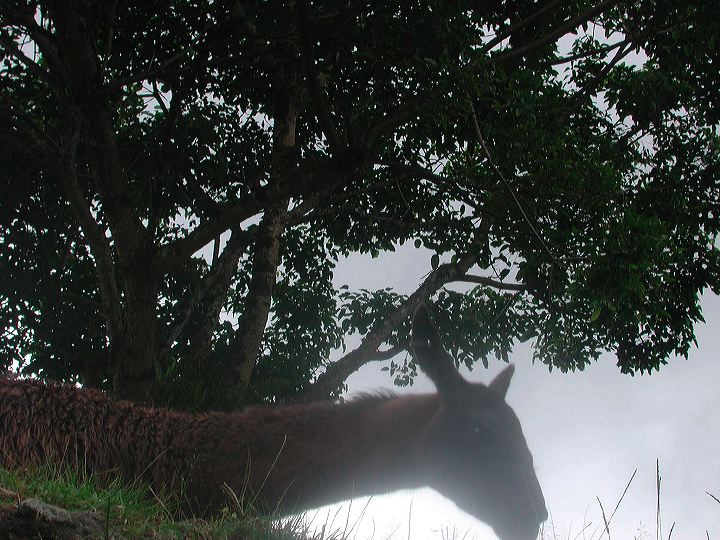 dscn6129.jpg