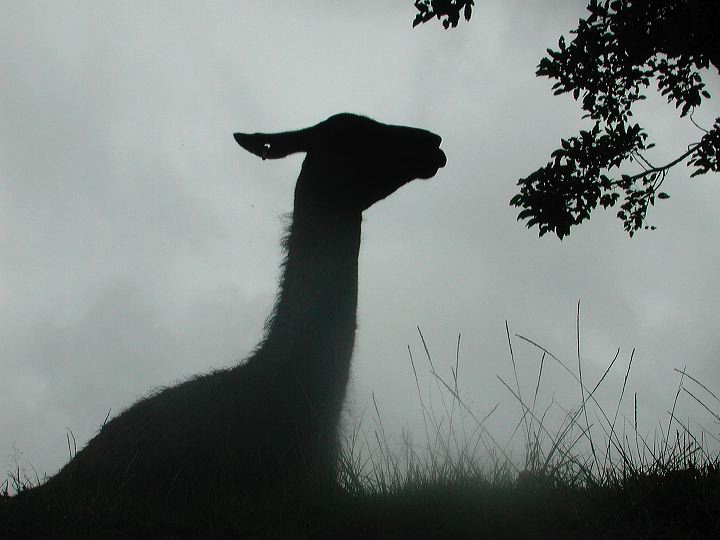 dscn6131.jpg