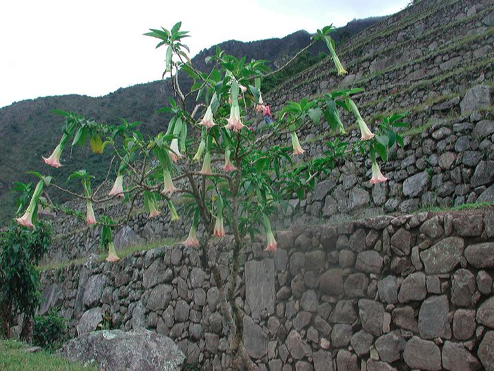 dscn6156.jpg