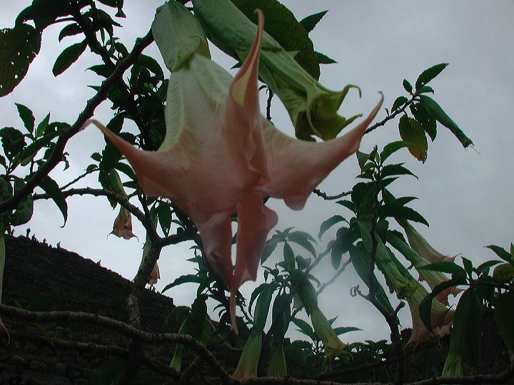 dscn6157.jpg