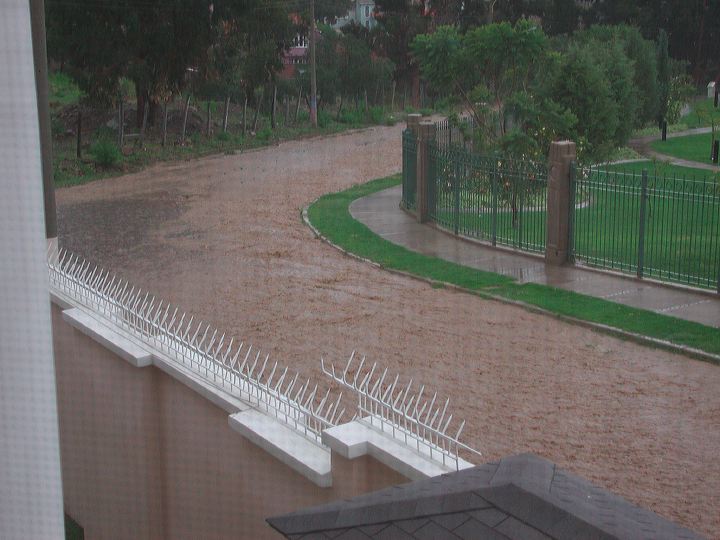 dscn6174.jpg