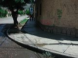 dscn5912