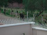 dscn5924
