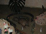 dscn5930