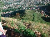 dscn5941