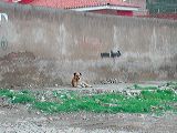 dscn5952