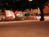 dscn5977