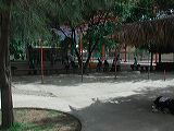 dscn6001