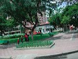 dscn6019