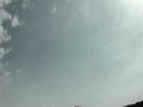 dscn6061