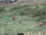 dscn6069