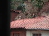 dscn6086