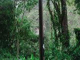 dscn6090