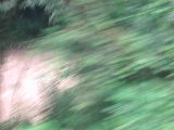 dscn6091