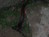 dscn6098