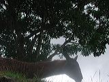 dscn6129