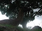 dscn6130