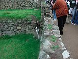 dscn6143