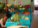 dscn6163