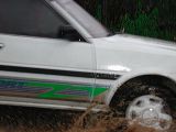 dscn6176