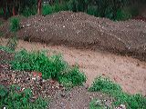 dscn6177