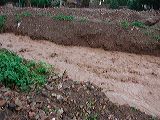 dscn6178