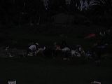 dscn6180