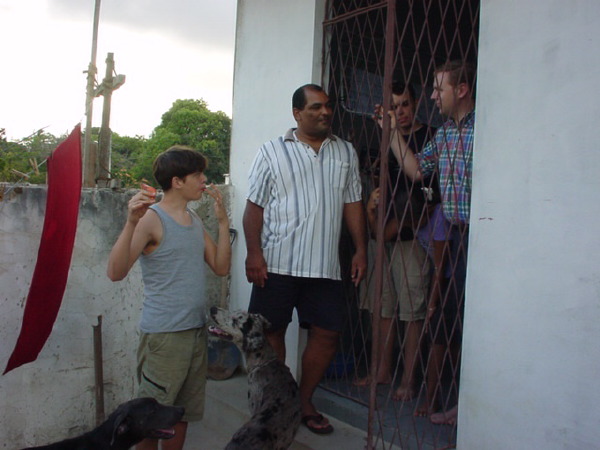 at_the_back_gate