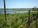 shrimp_ponds