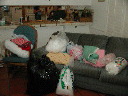 dscn3176
