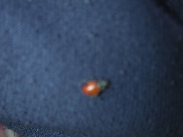 dscn5129