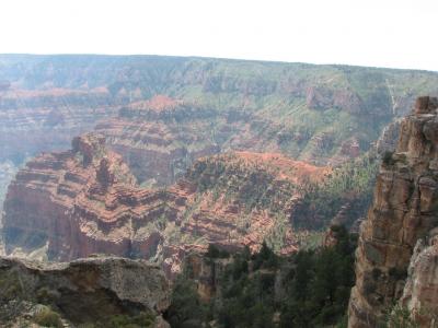 Grand Canyon, Grand Vistas, Grandchildren, oh my...