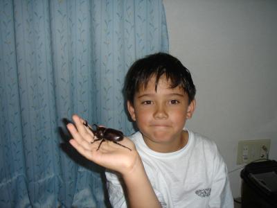 Brutus the Beetle