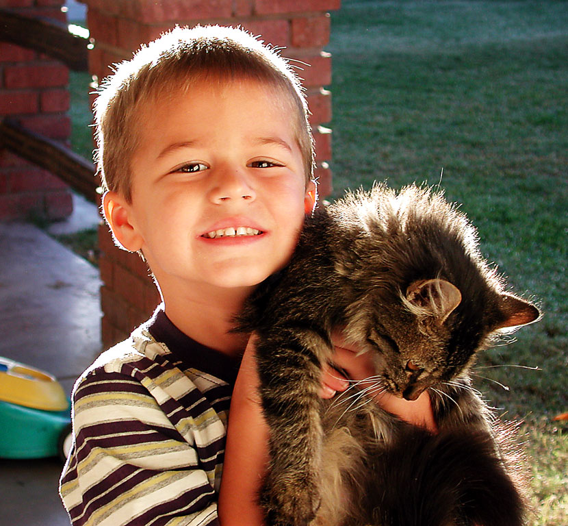andrew-kitty