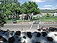 dscn1295