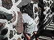 dscn1296