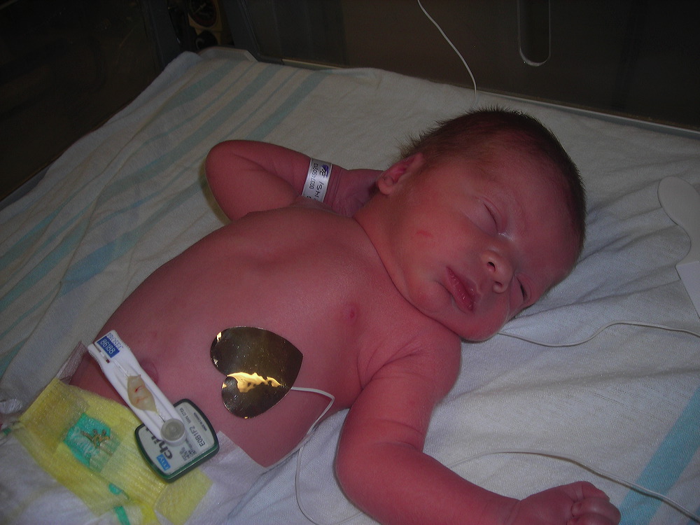 dscn4631.jpg