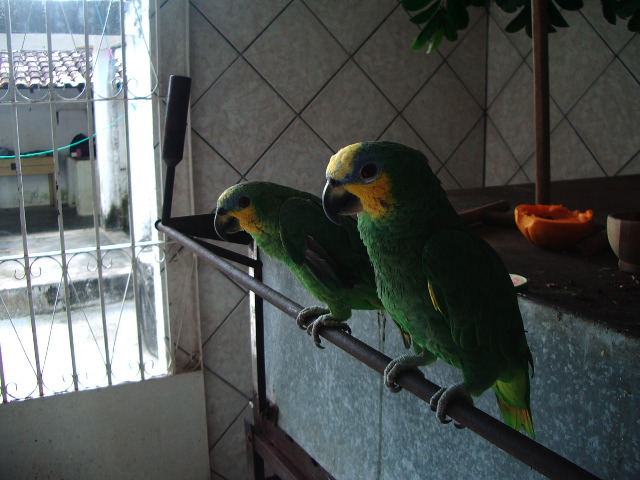 imgp0517.jpg