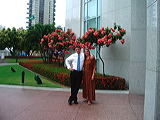 imgp0495