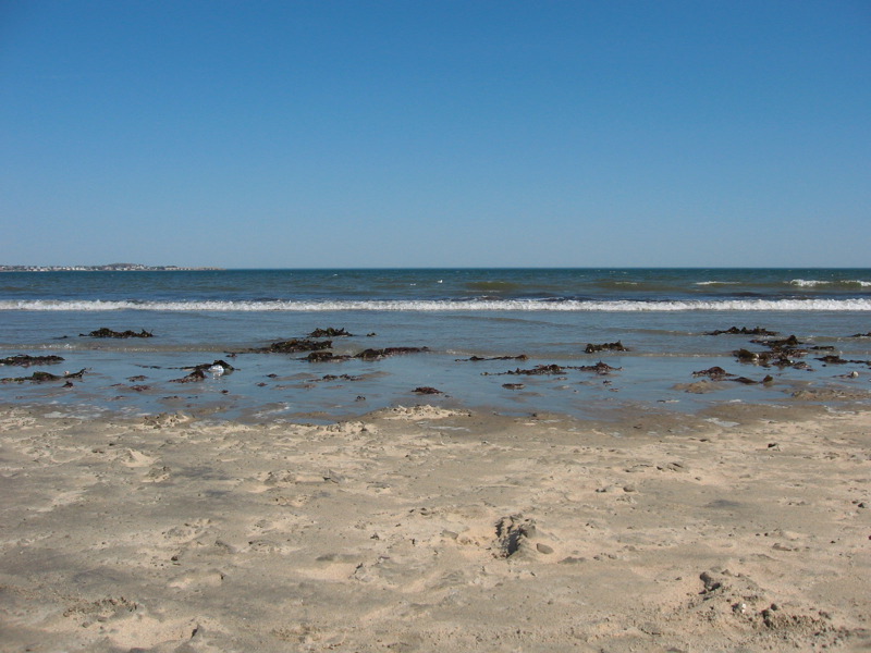 img_1608.jpg