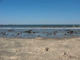 img_1608