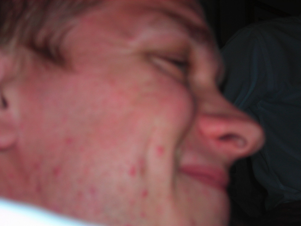dscn2917.jpg