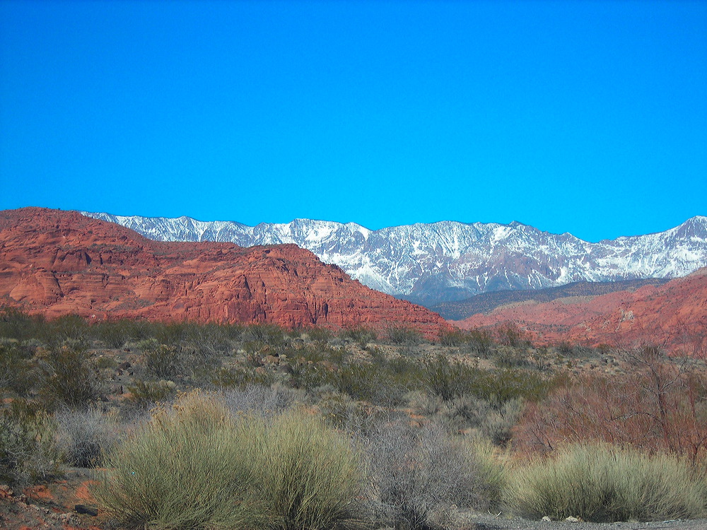 dscn3379.jpg