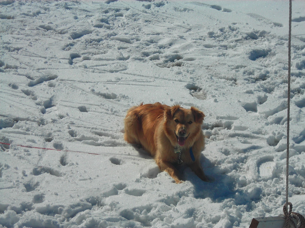 dscn3383.jpg