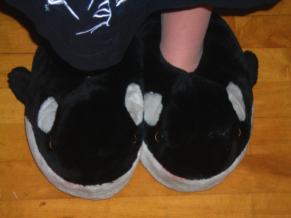 dscn3420.jpg