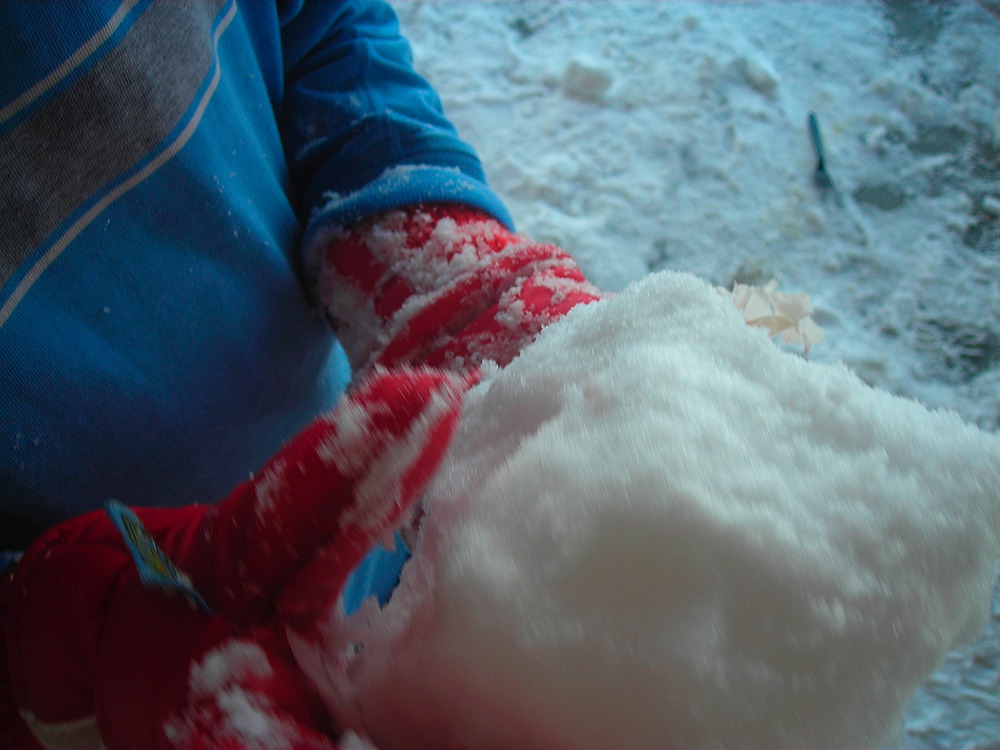 dscn3456.jpg
