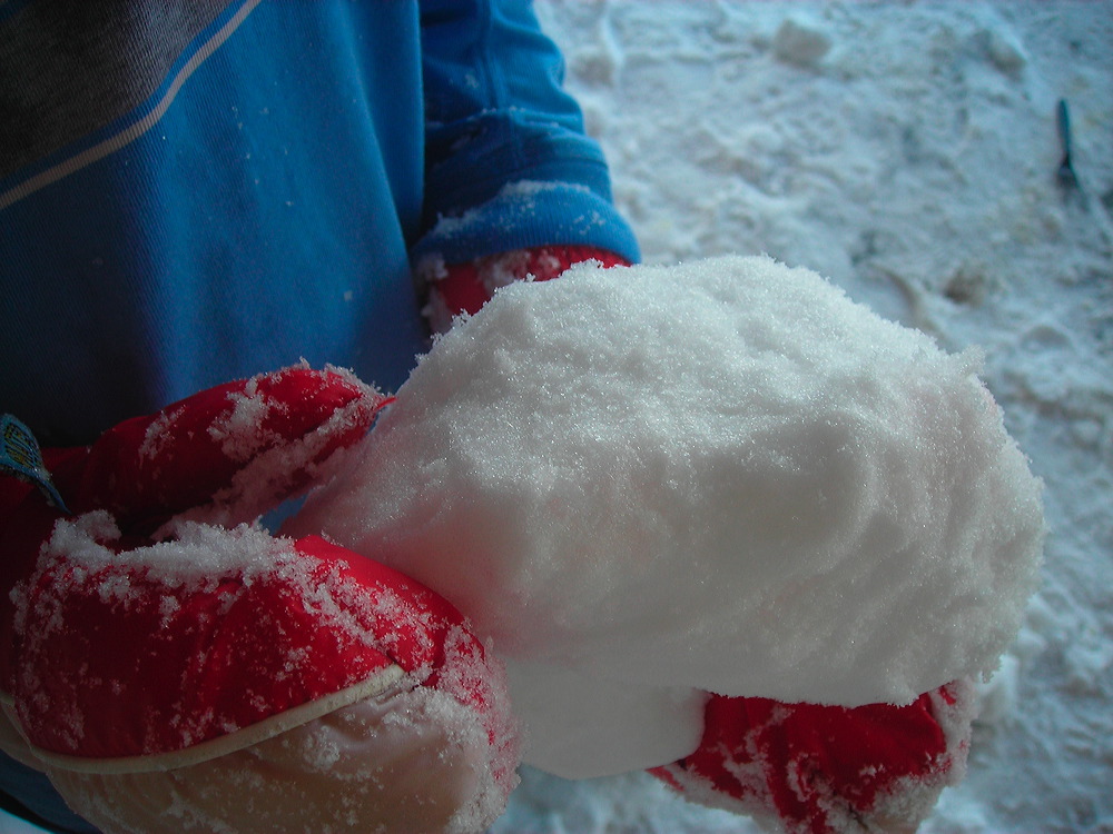 dscn3457.jpg