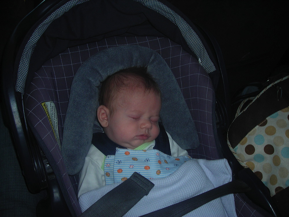 dscn4650.jpg