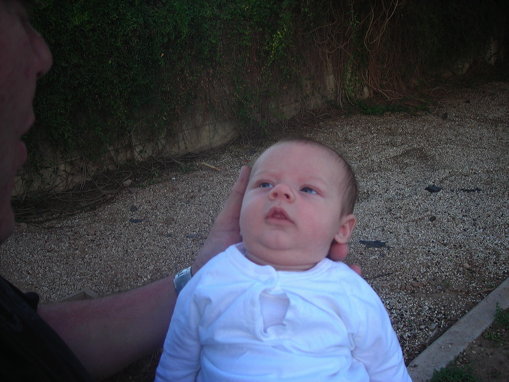 dscn4679.jpg