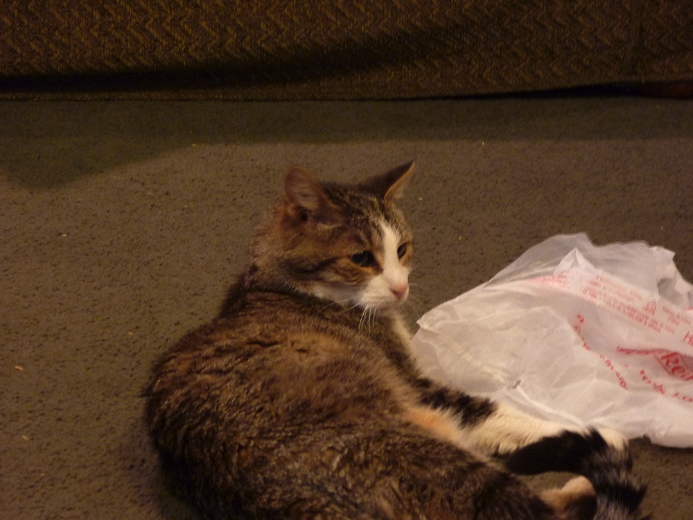 p1000059.jpg